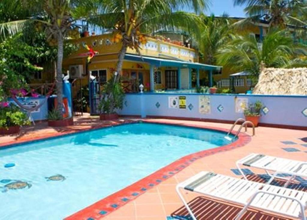 Limestone Holiday Willemstad