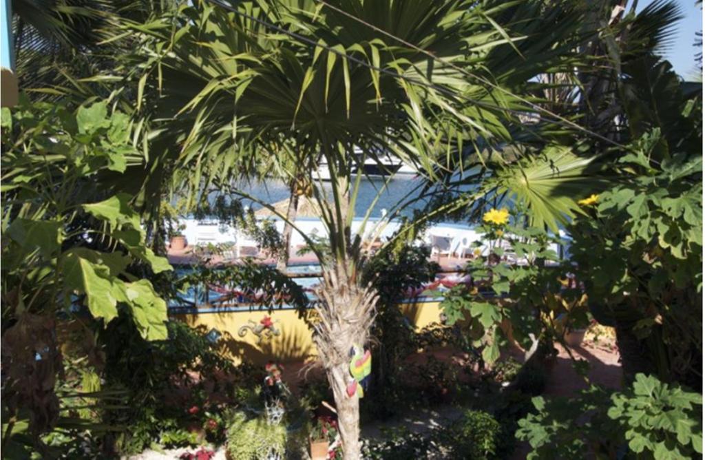 Limestone Holiday 3* Willemstad