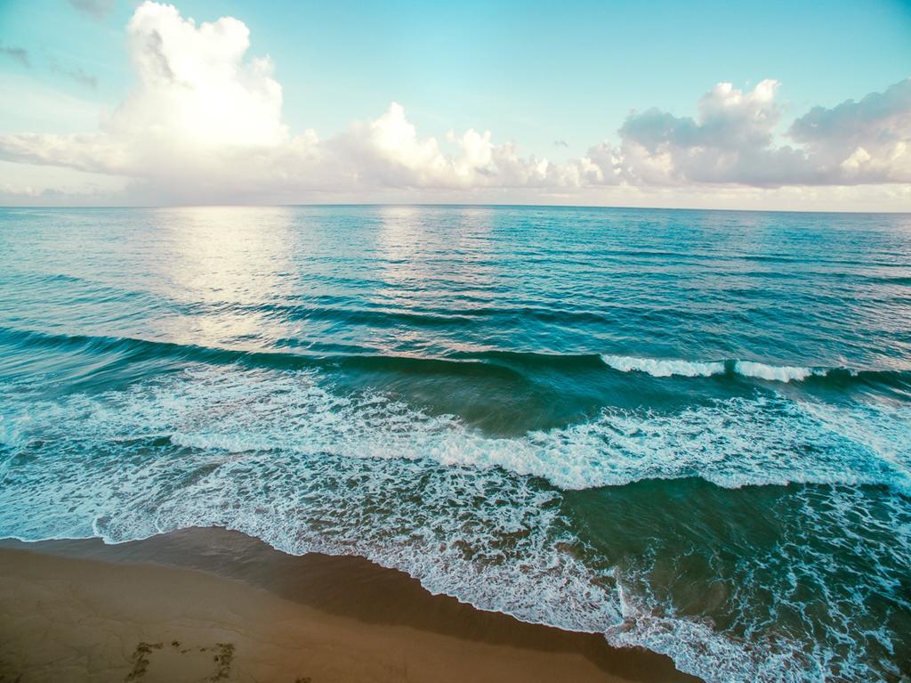 Hotel Natura Boutique & By Mint Cabarete