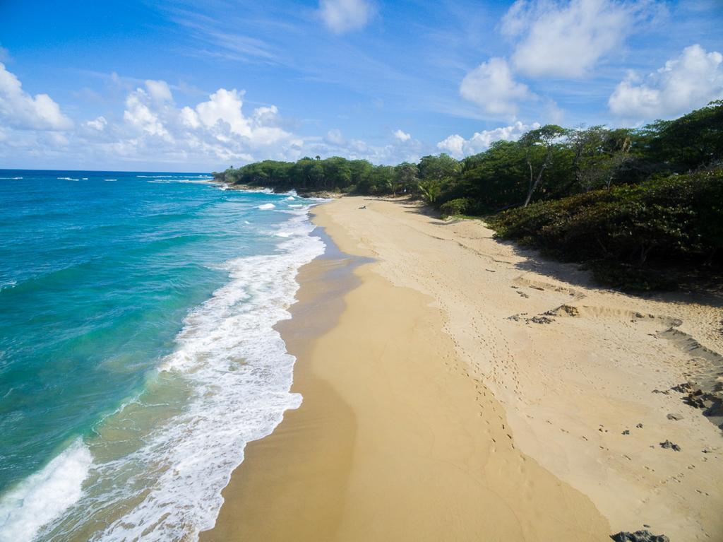 Hotel Natura Boutique & By Mint Cabarete