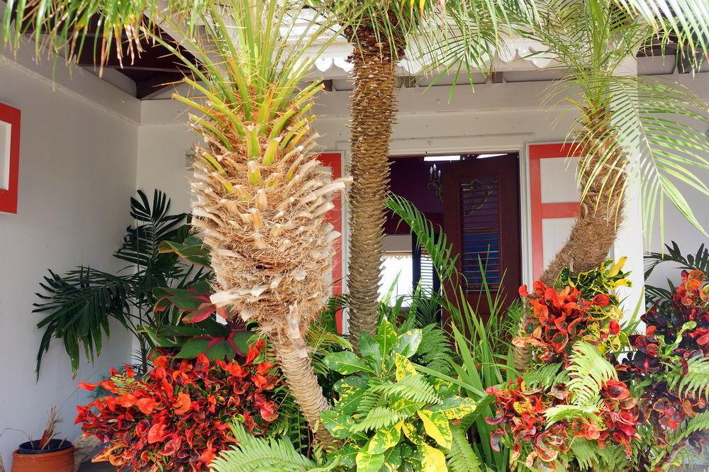 Bed & Breakfast Rock Haven