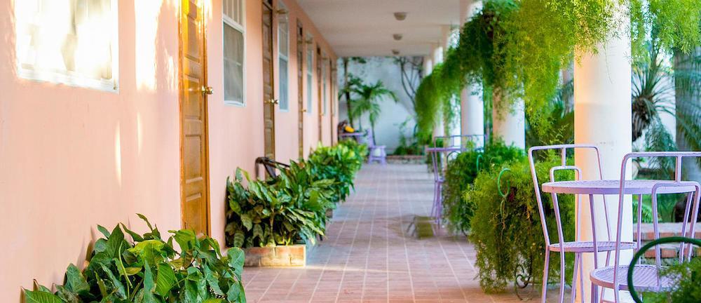 Palm Hotel