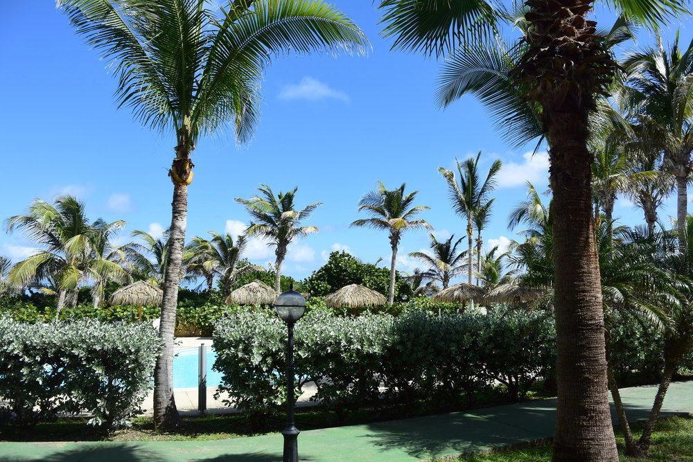Alamanda 3* Orient Bay