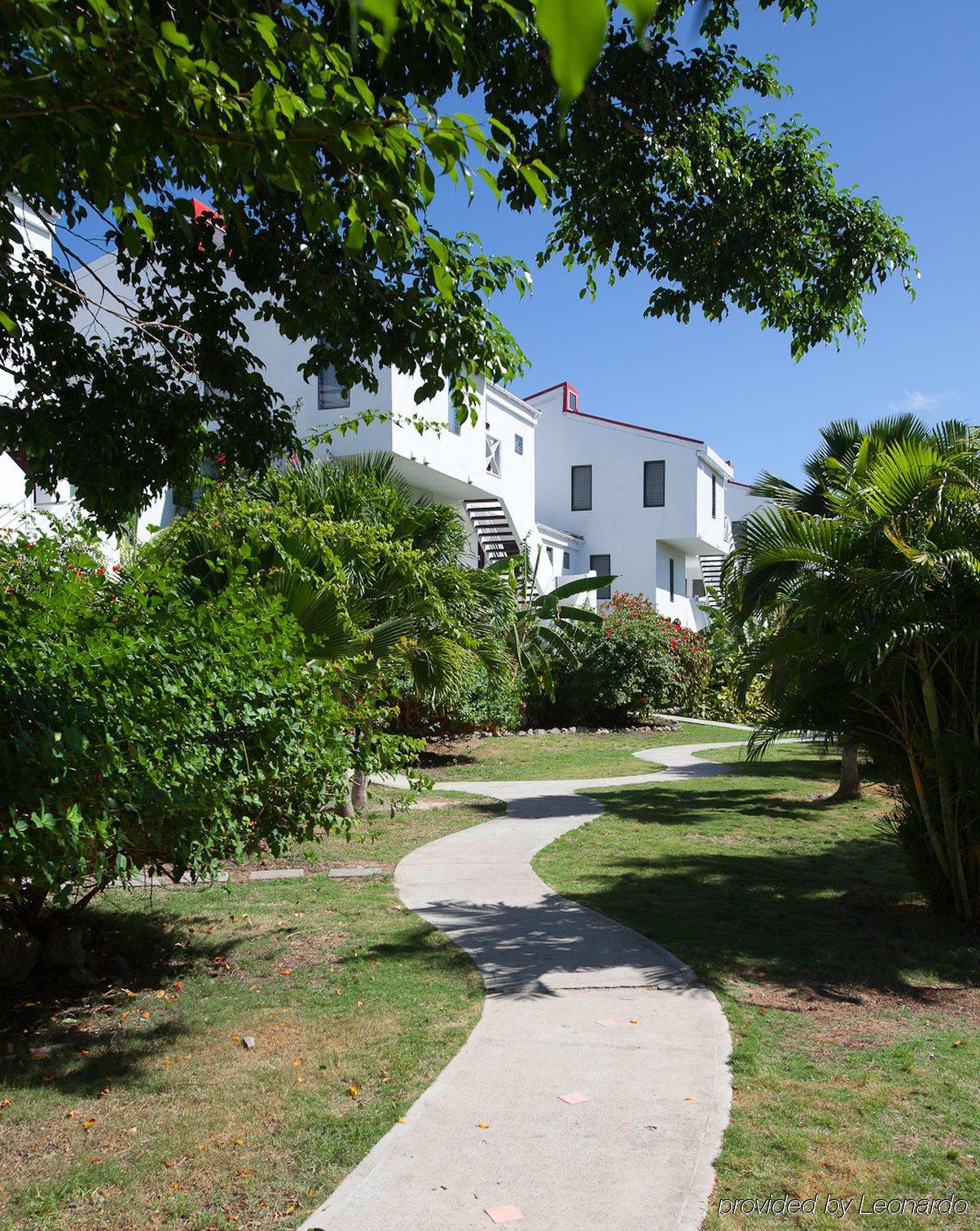 Coconut Club Hotel