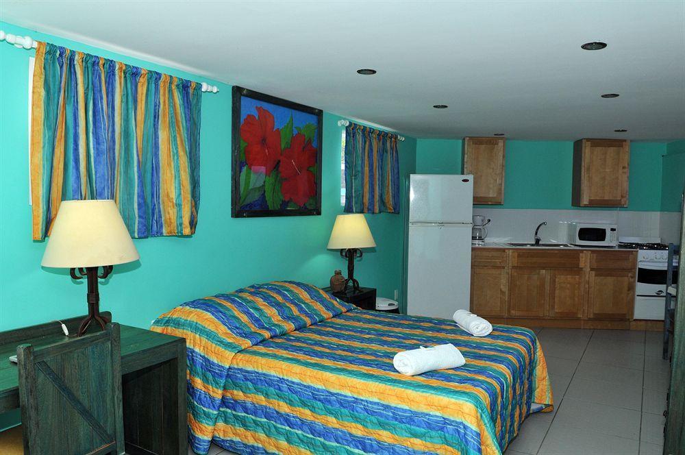 Blue View Apartment