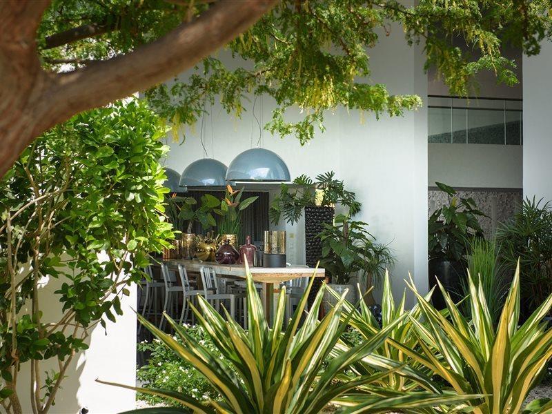 Papagayo (adults Only) Willemstad