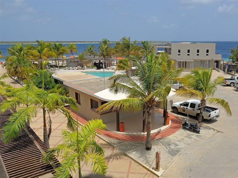 Eden - Bonaire