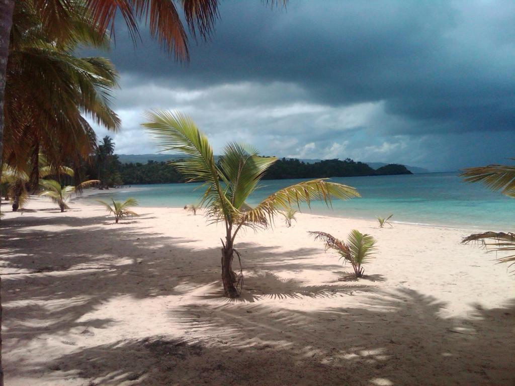 Caraibirent Apartment