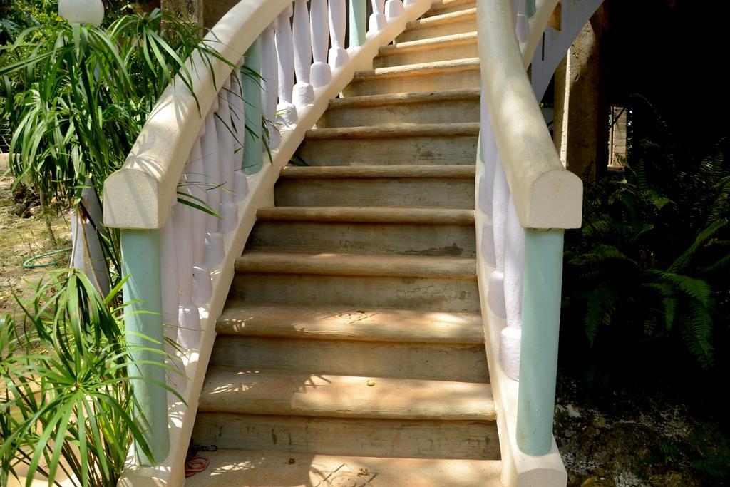 Guest house Jah Freedom