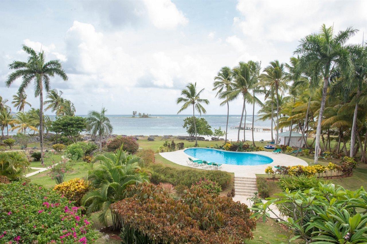 Serena Las Galeras