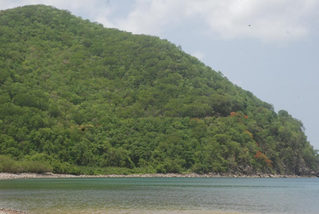 Papaye Pointe-Noire