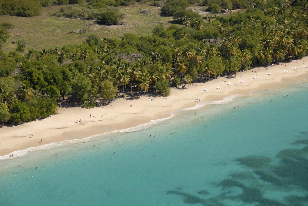 Ti Paradis De L'anse Figuier Site En Martinique