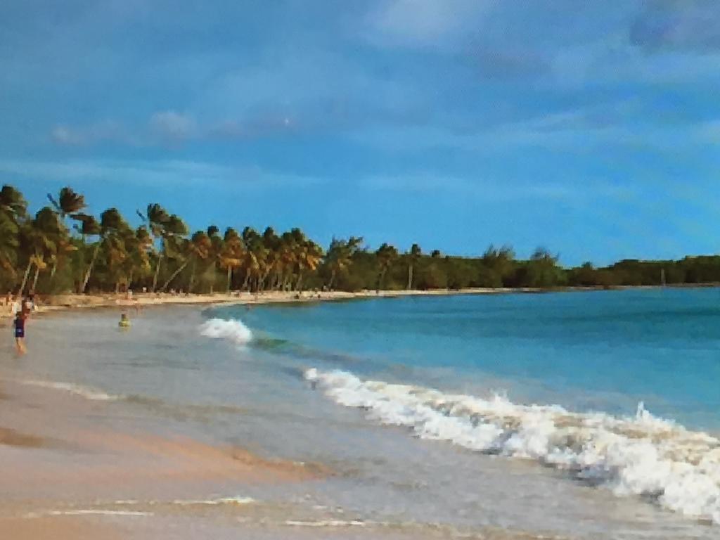 Aparthotel Ti Paradis De L'anse Figuier Site En Martinique Riviere-Pilote