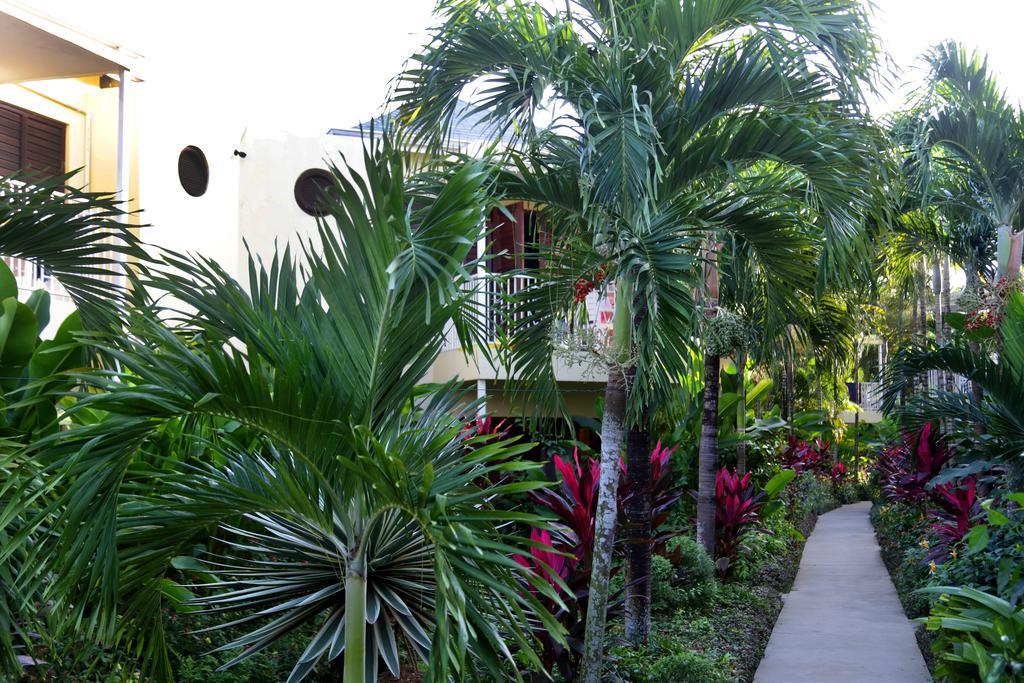 Hotel Palms Negril