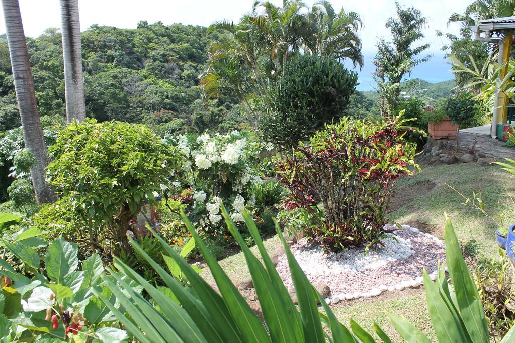 Holiday home Villasticreole Deshaies
