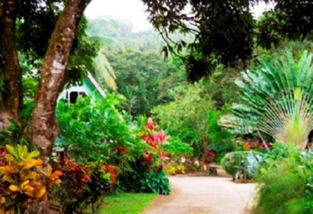 Coffeeriver Cottages Guest house