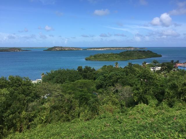 Ellen Bay 3*