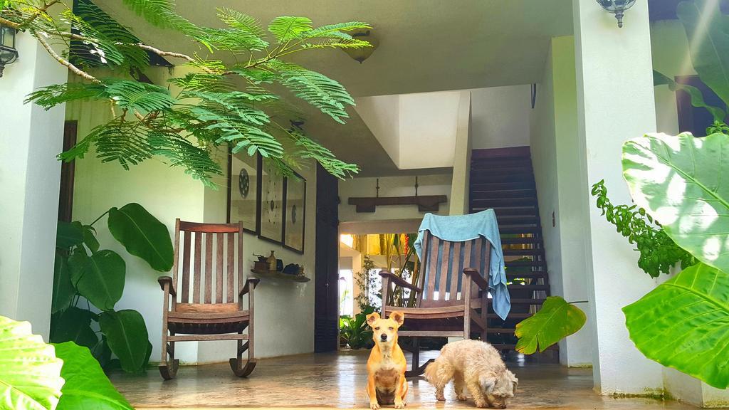 El Hotelito At The Rainforest Experience Farm Hotel Fajardo