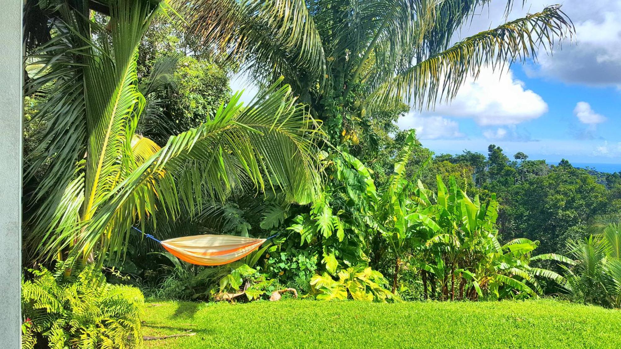 El Hotelito At The Rainforest Experience Farm Hotel Fajardo