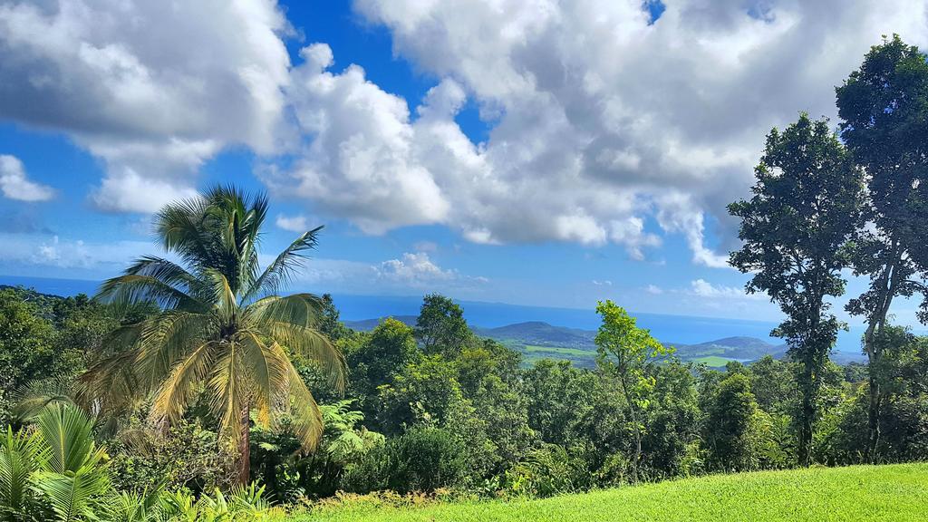 Hotel El Hotelito At The Rainforest Experience Farm 4*