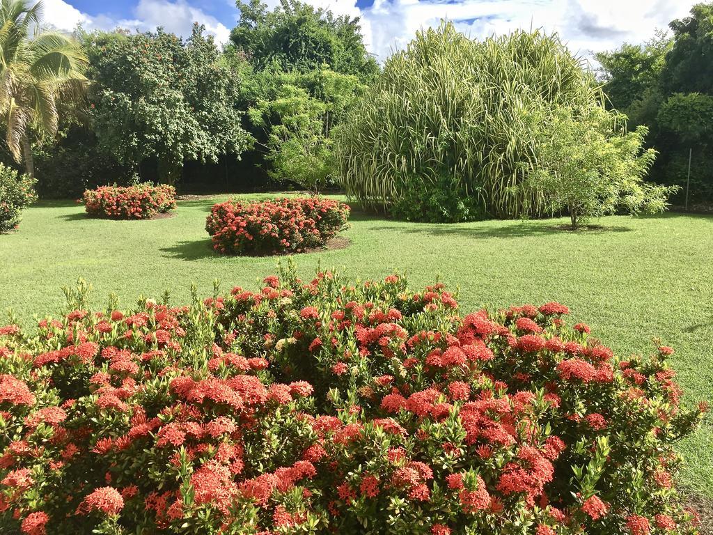 Le Vallon Guadeloupe Parc Piscine & & Services Hoteliers A La Carte 2* Saint-Francois (Grande-Terre)