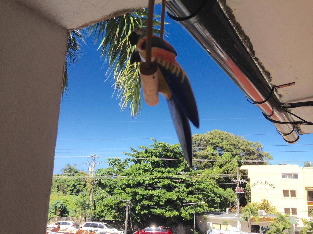 Cita Del Sol Cabarete