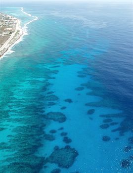 Hotel Compass Point Dive Gun Bay