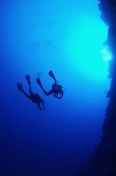 Hotel Compass Point Dive Gun Bay