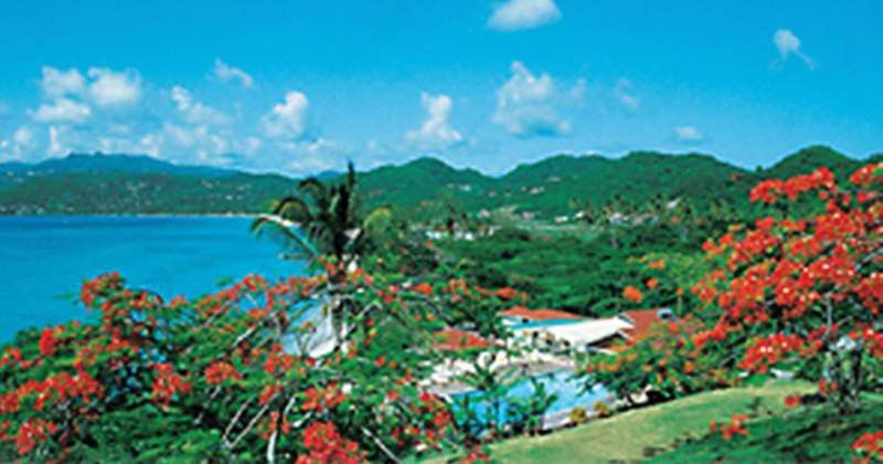 Flamboyant & Hotel 3*