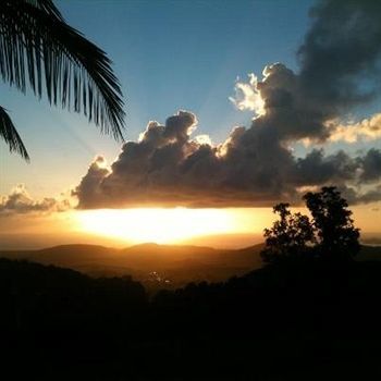 Hotel El Hotelito At The Rainforest Experience Farm 4*