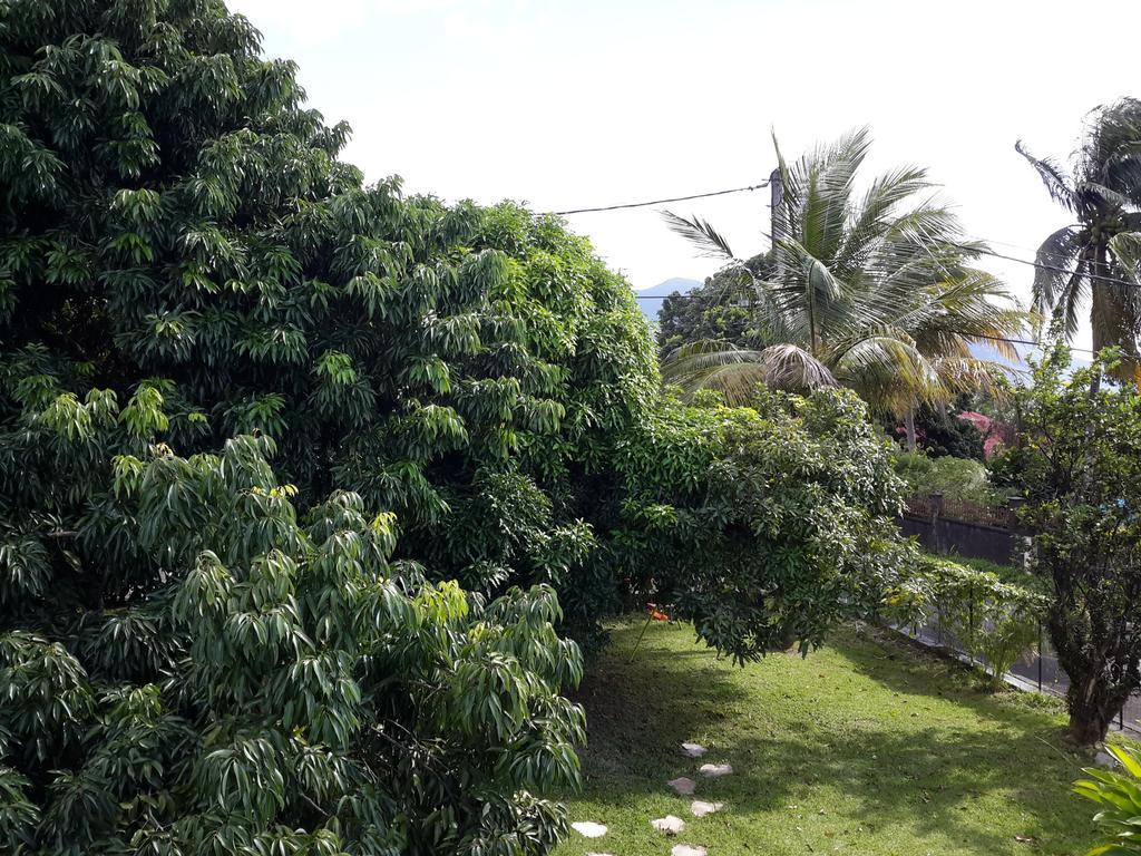 Appartement Les Bougainvilliers Vue Mer *