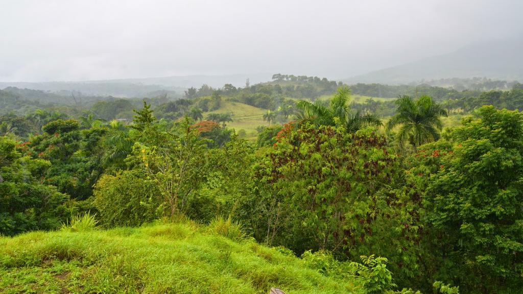 Camping National Park Close To Beach Puerto Plata