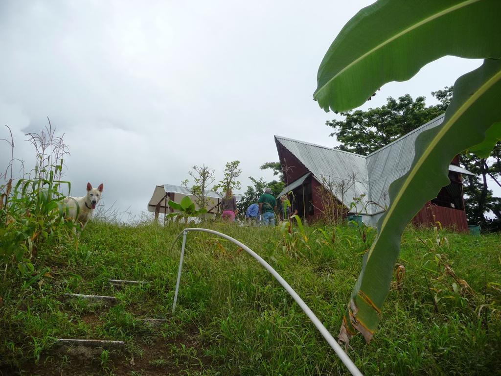 Camping National Park Close To Beach