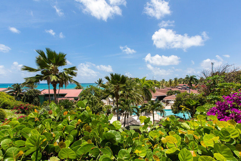 Resort Pineapple Beach Club (adults Only)