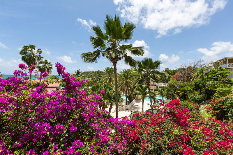 Pineapple Beach Club (adults Only) Long Bay