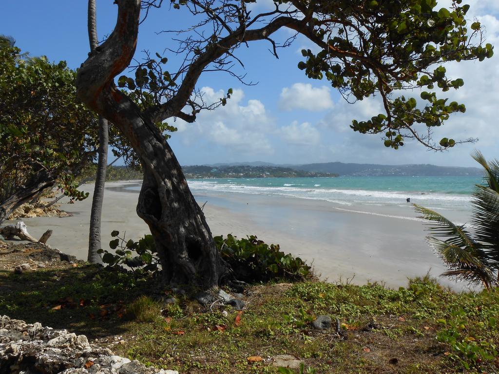 Sans-souci * Lowlands