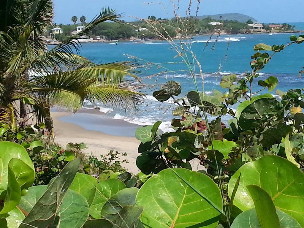Hotel Treasure Beach Hotel