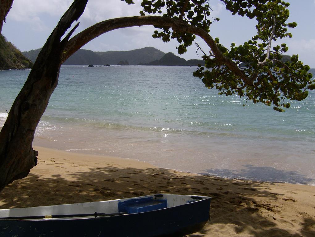 Sans-souci Villa Lowlands