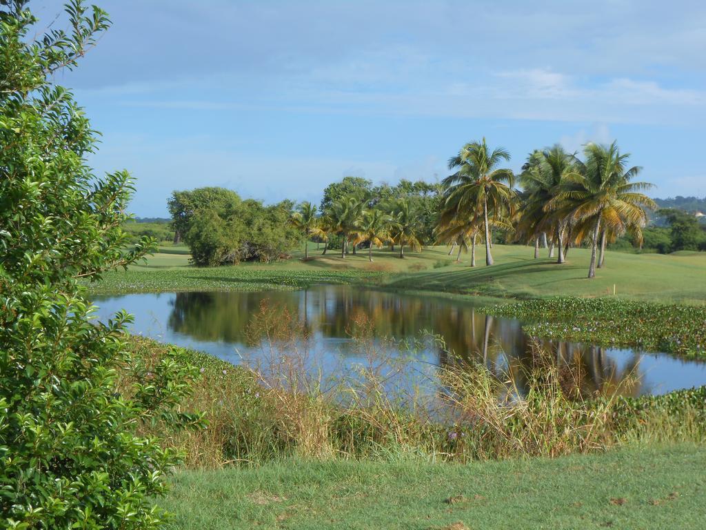 Sans-souci *