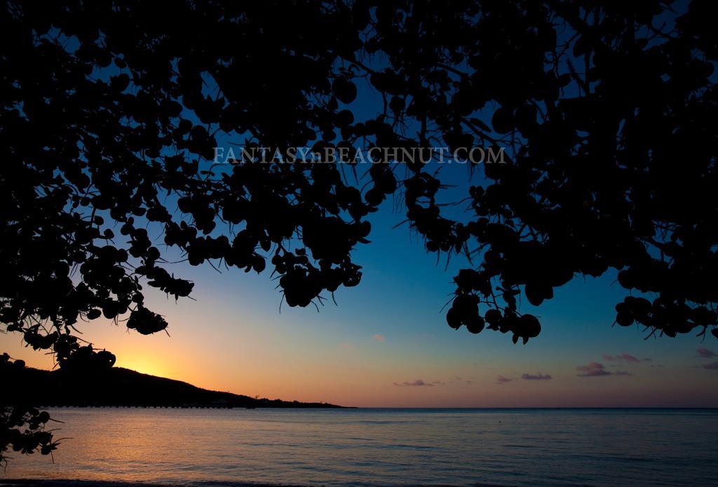Fantasy & Beachnut Villas * Rio Bueno Harbour