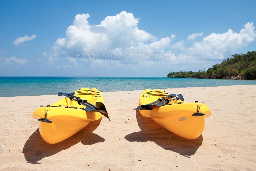 Villa Fantasy & Beachnut Villas