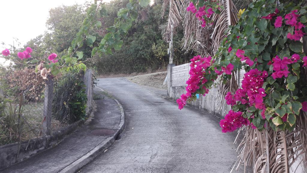 Meryem Holiday home