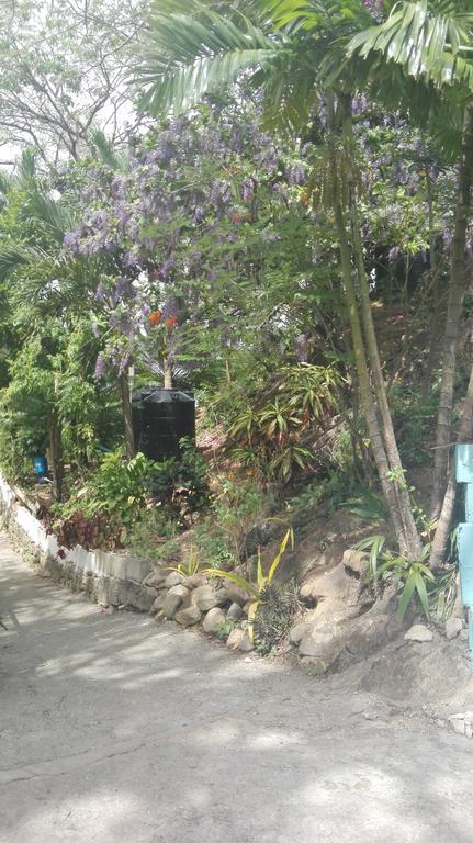 Blue Mango Cottages Guest house
