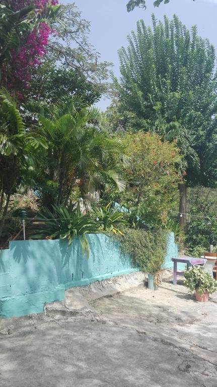 Blue Mango Cottages *