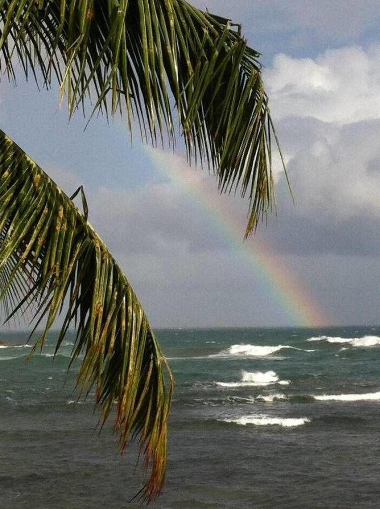 Apartamento Rainbow &
