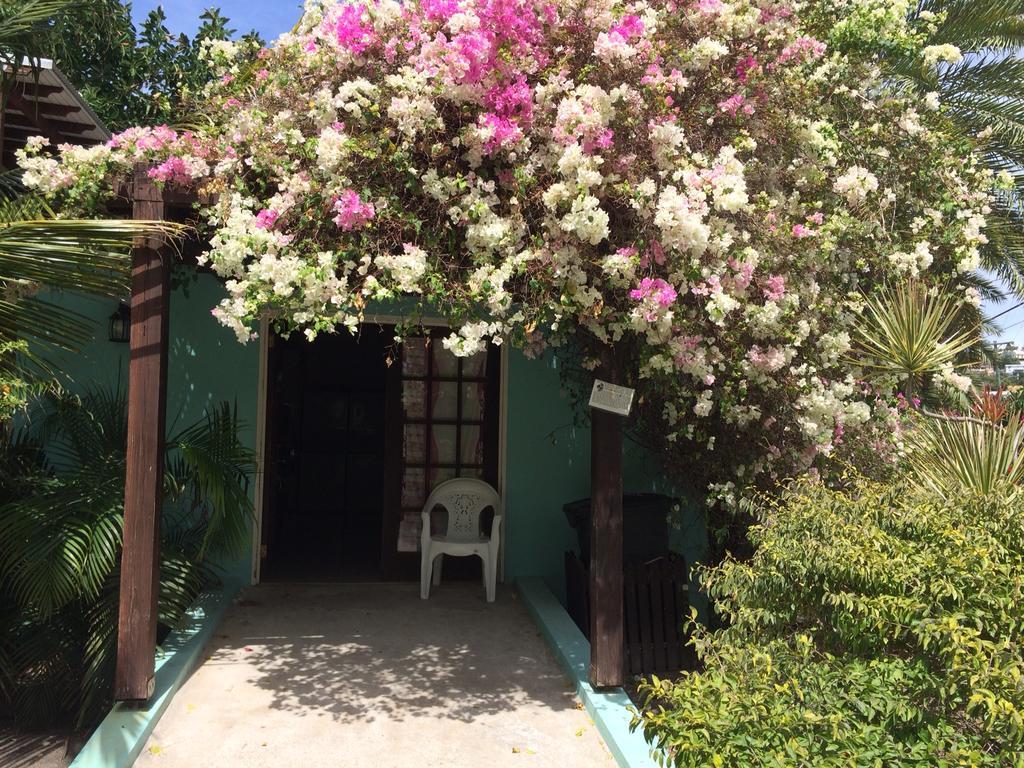 Buccaneer Club Aparthotel Dickenson Bay