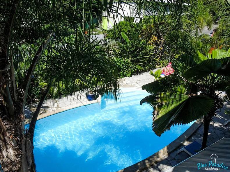 Apartment Blue Paradise