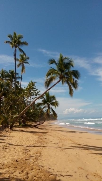 Apartment Caraibirent Las Terrenas