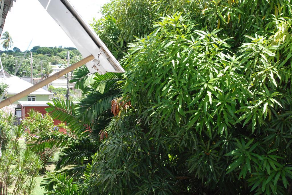 Guest house Charming Old World Bridgetown