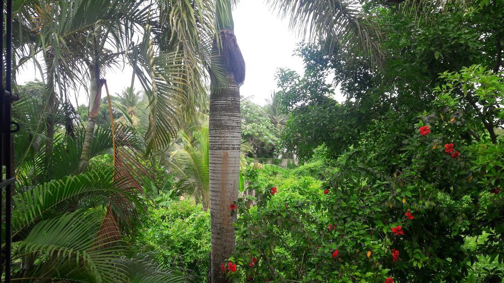 Apartment Carey Boca Chica